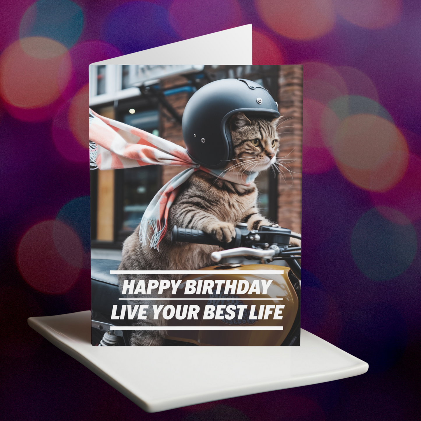 Funny Cat Birthday Card Live Your Best Life Bike