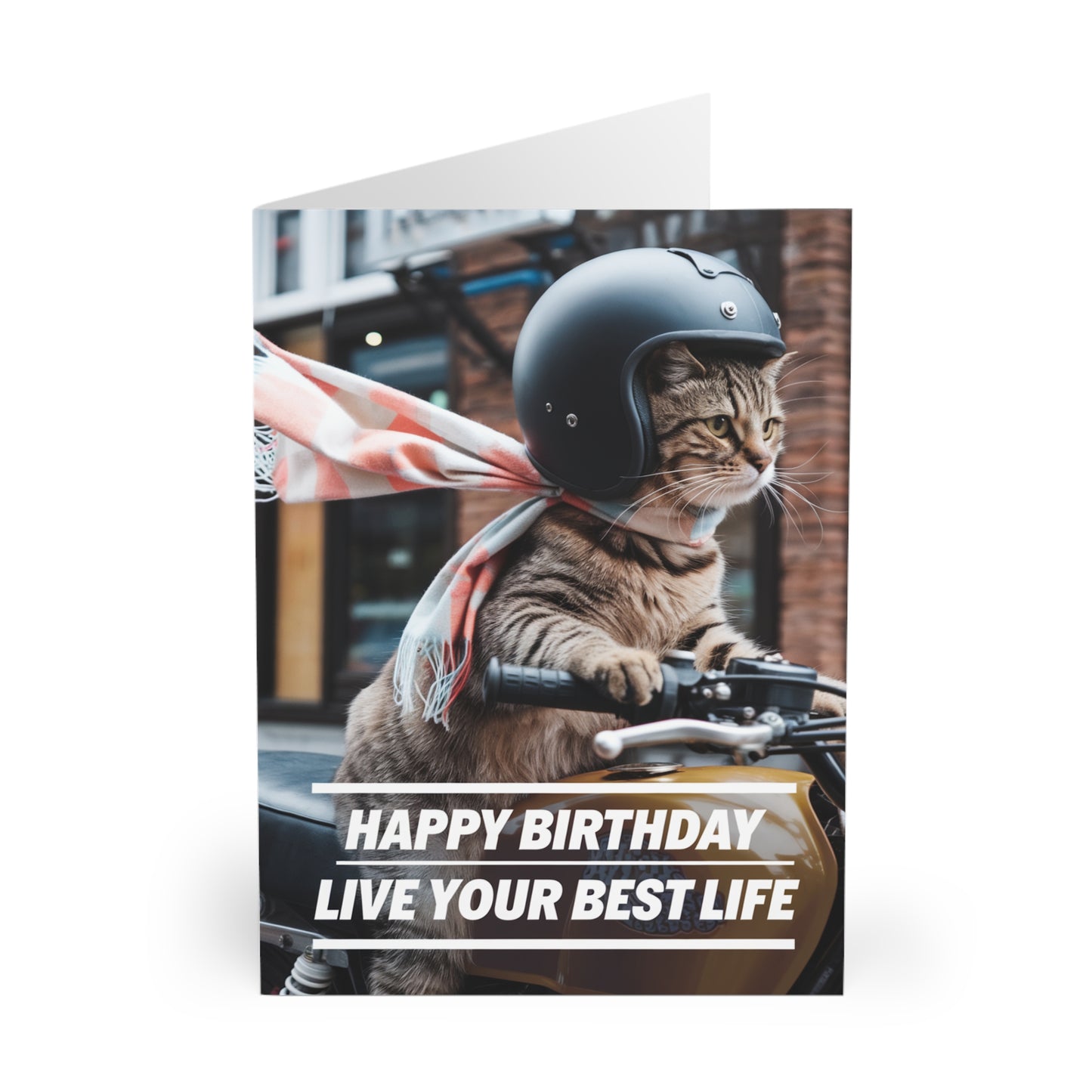 Funny Cat Birthday Card Live Your Best Life Bike Front