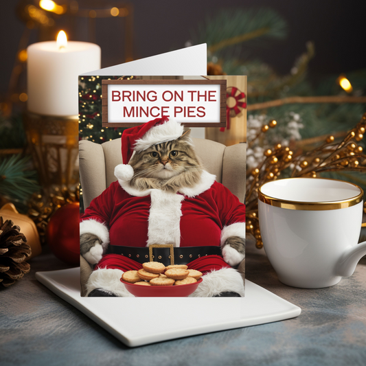 Funny Cat Christmas Card Bring On The Mince Pies 