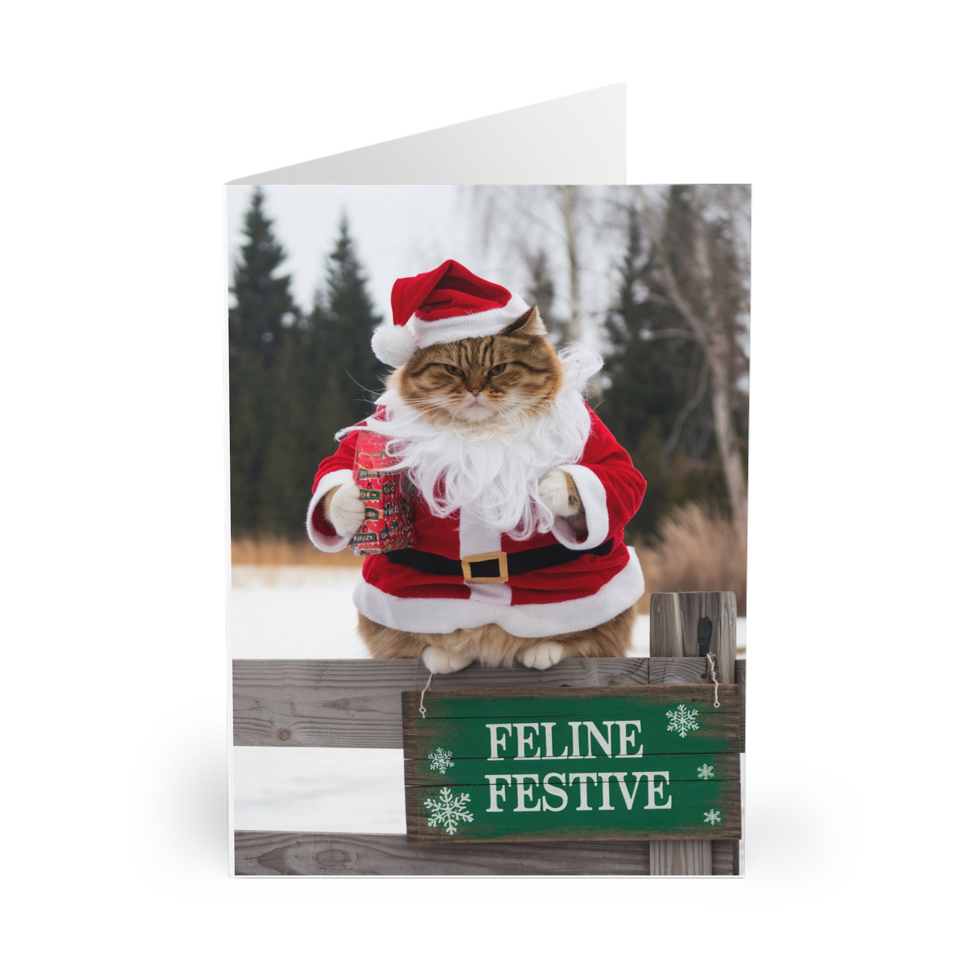 Funny Cat Christmas Card Feline Fine f