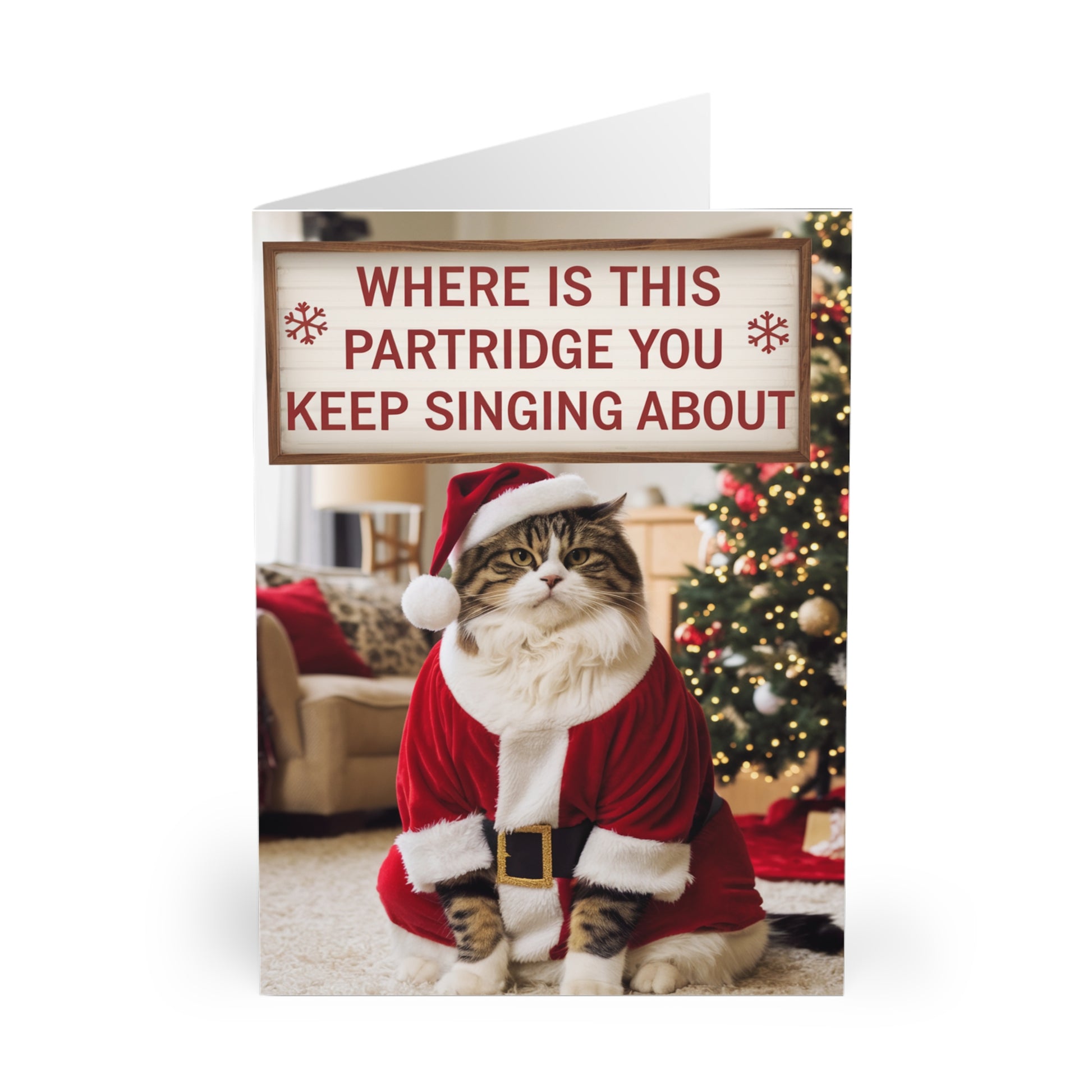 Funny Cat Christmas Card Where Is This Partridge You Sing About  f