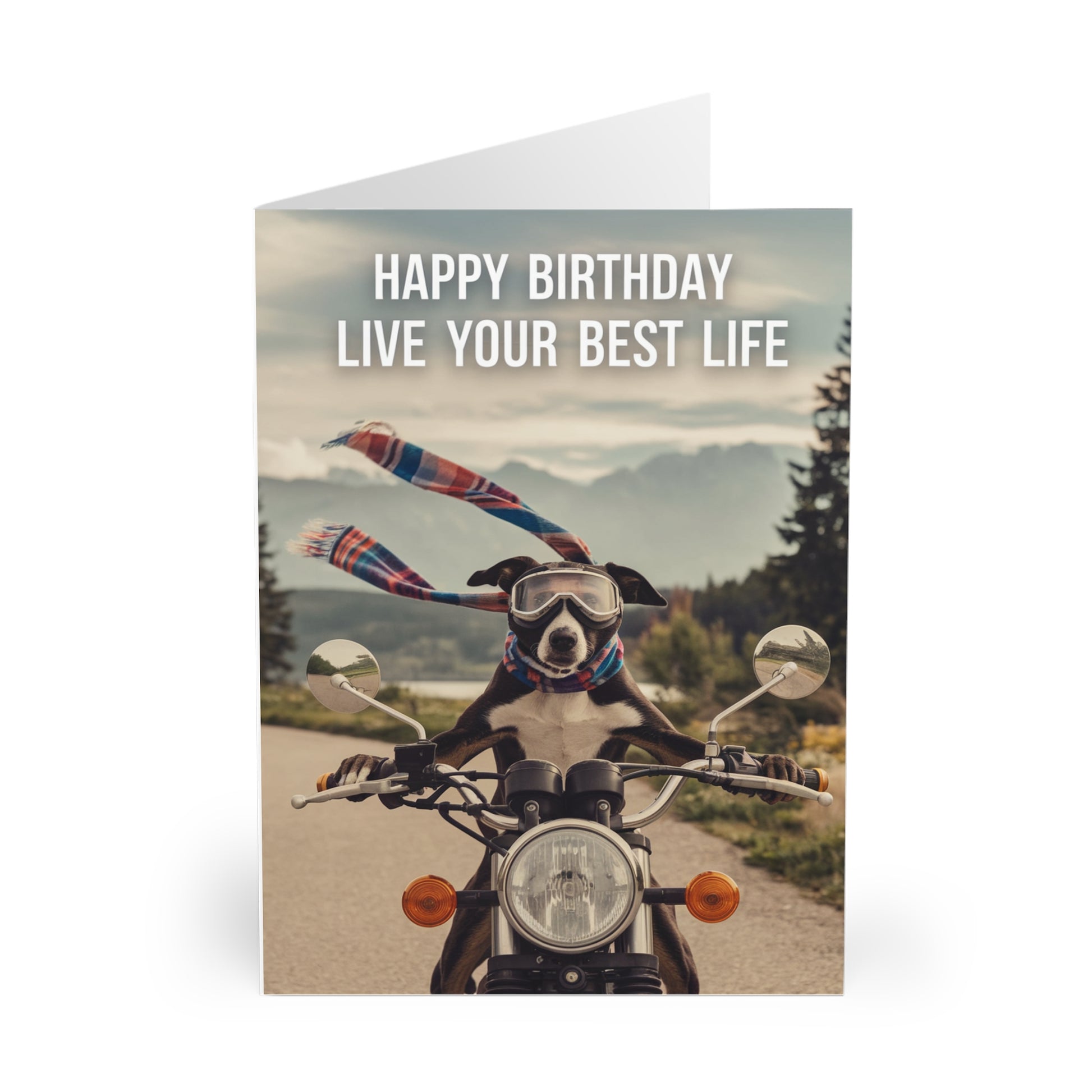 Funny Dog Birthday Card Live Your Best Life Motorbike front