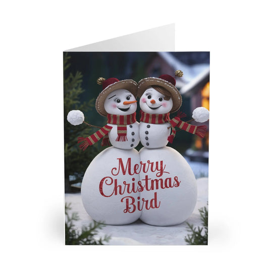 Front Gay Christmas Card Merry Christmas Bird Snowwomen