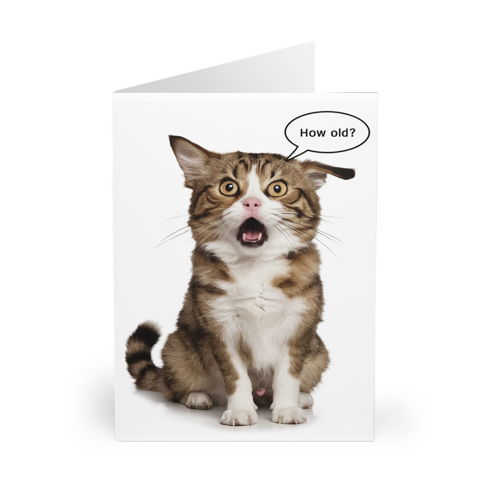 Front Shocked Cat How Old? Funny Birthday Card