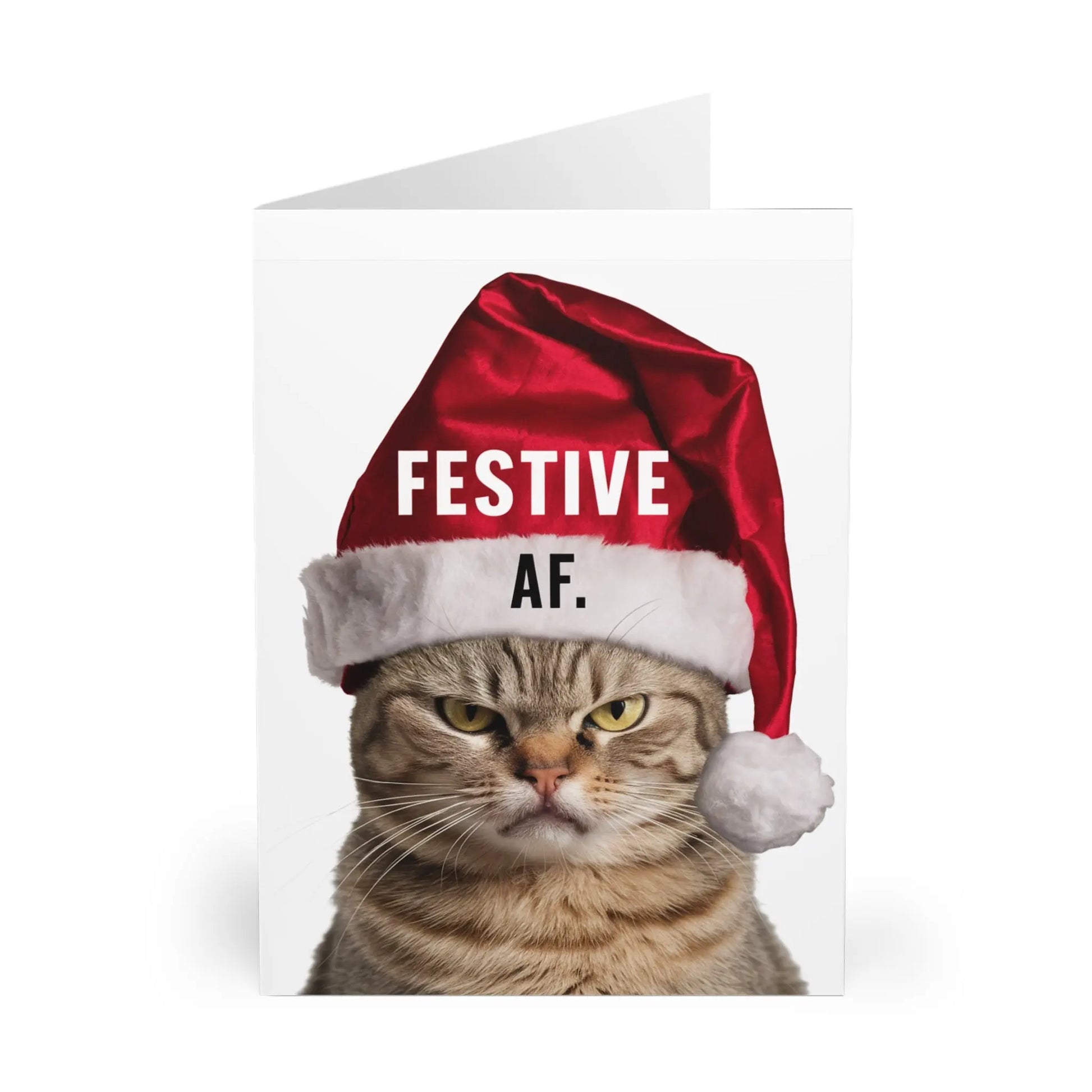 front of Christmas Card Grumpy Cat Festive AF